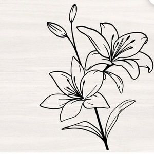 Meet your Posher, Blk_p4nth3r